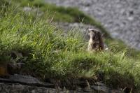 Haute-Savoie 🏔️