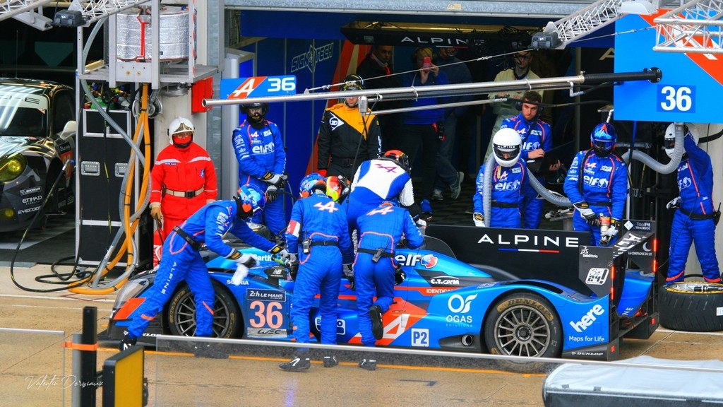 N° 36 - SIGNATECH ALPINE - LMP2